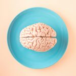 A human brain model placed on a blue plate, viewed from above against a pastel background.